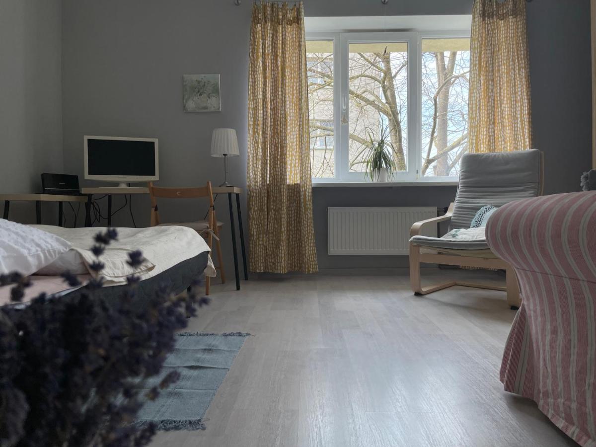 Linden Blossom Apartment